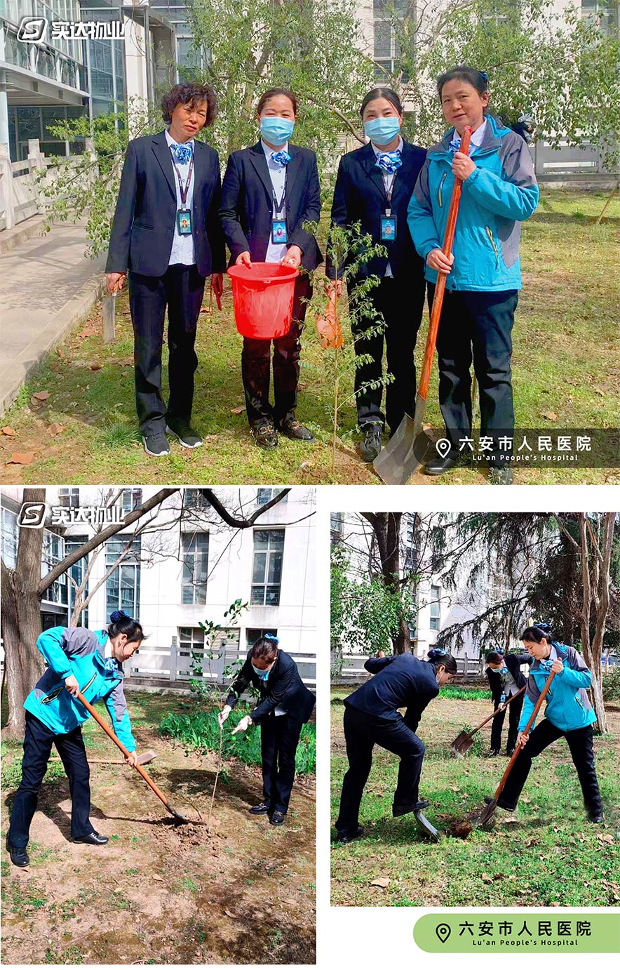 网页3.jpg